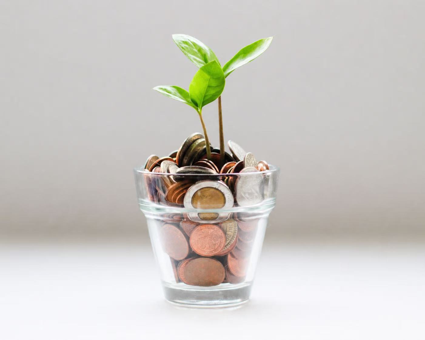 Plant growing from coins in a glass, representing disciplined consulting cost oversight